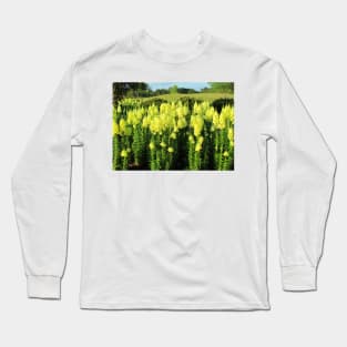 Field Of Yellow Snapdragon Long Sleeve T-Shirt